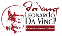 DVM logo