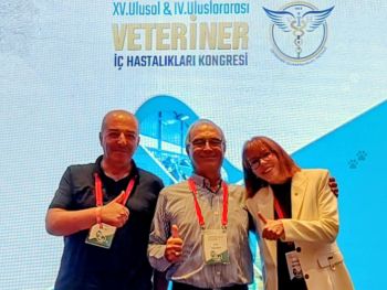 cachev na kongres v turcia 2