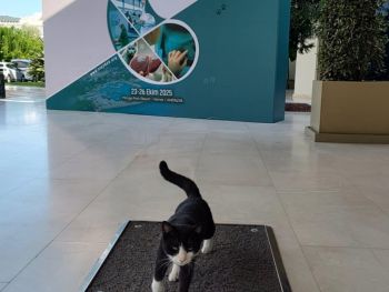 cachev na kongres v turcia 4